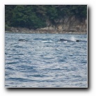 [Click to enlarge]
