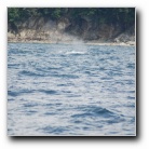 [Click to enlarge]