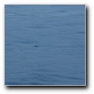 [Click to enlarge]
