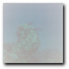 [Click to enlarge]