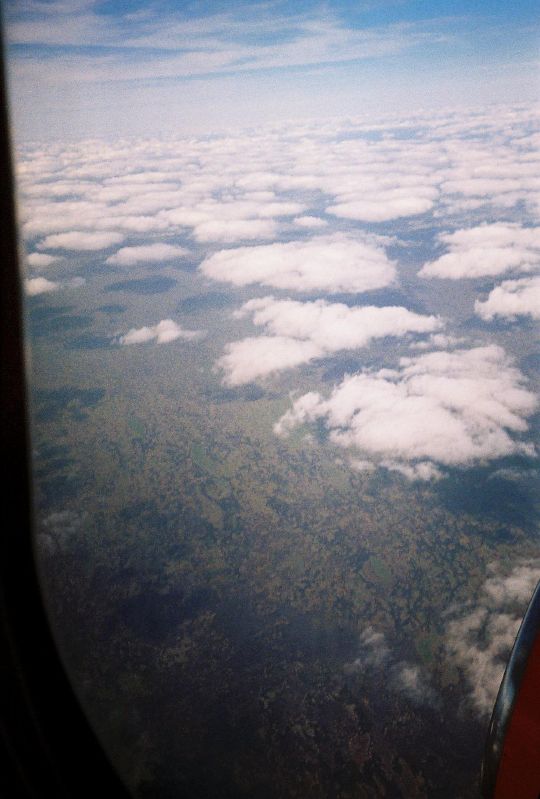 The Florida Everglades