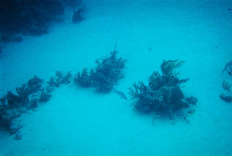 Underwater during our snuba excursion in Grand Turk
