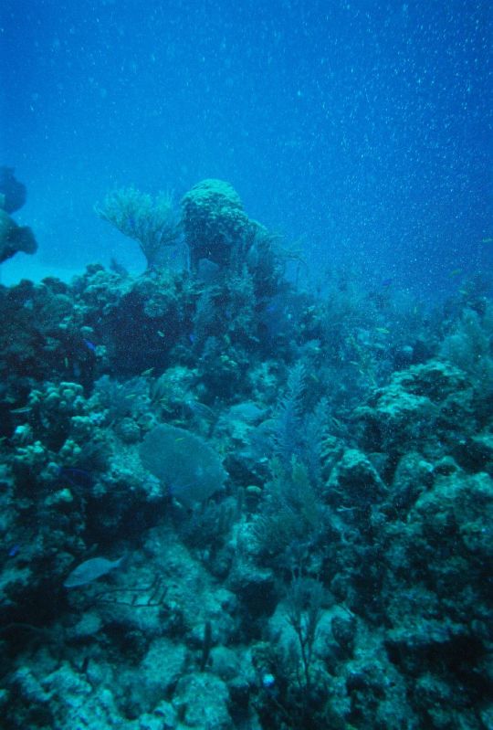 Underwater during our snuba excursion in Grand Turk