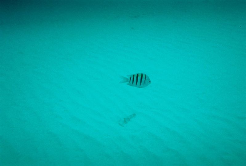 Underwater during our snuba excursion in Grand Turk