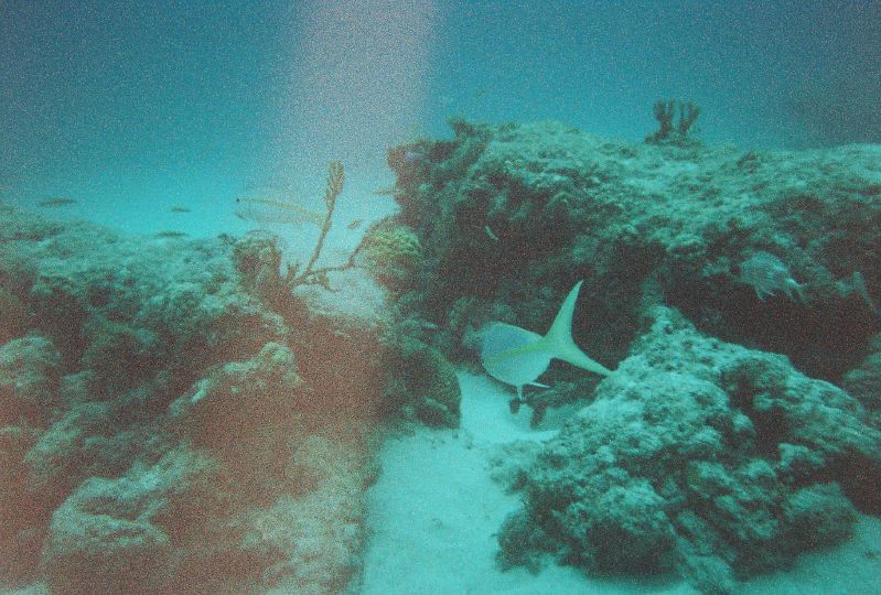 The Baths underwater