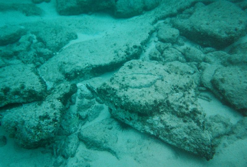 The flounder again - on the rock in the middle