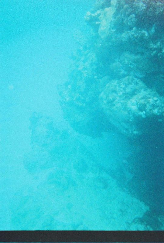 The depth was about 20 feet in this area. The poor quality of the photo renews my desire to get an underwater housing for our digital camera.