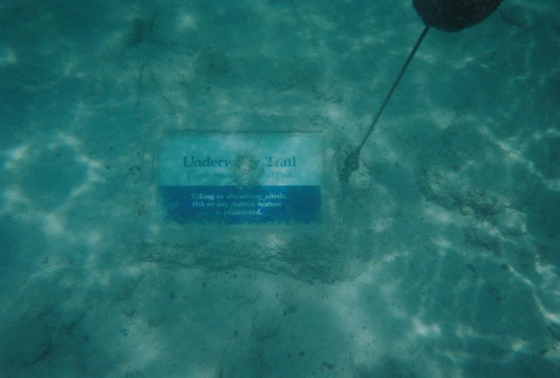 1. Underwater Trail: Virgin Islands National Park - Taking or disturbing corals, fish or any marine feature is prohibited.
