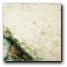 [Click to enlarge]
