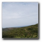 [Click to enlarge]