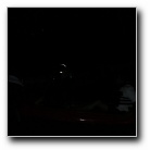 [Click to enlarge]