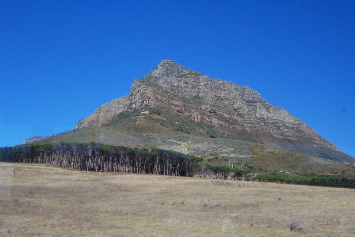 As we round the mountain, some interesting trees come into site. I'll be curious to learn more about the vegetation in South Africa. You can also spot a small white structure about half-way up the left side of the mountain. To the naked eye, it appeared almost castle-like.