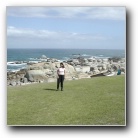 [Click to enlarge image]