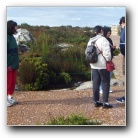 [Click to enlarge image]