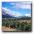 [Click to enlarge image]