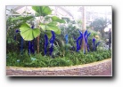 [Click to enlarge]
