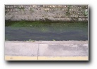 [Click to enlarge]