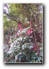 [Click to enlarge]